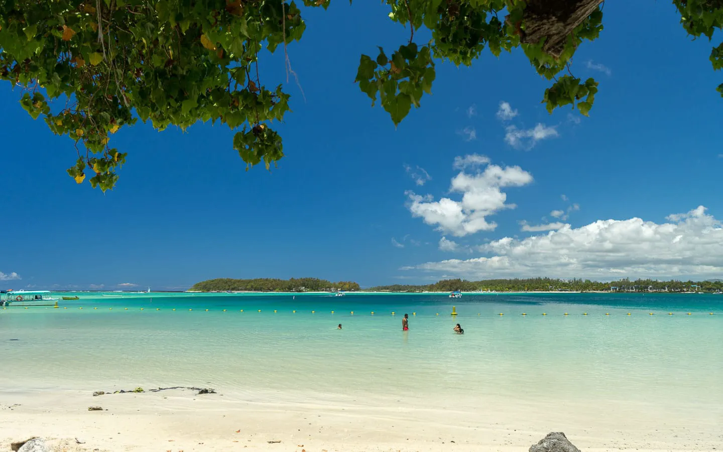 Les eaux bleues exceptionnelles de Blue Bay